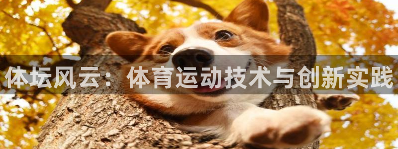 意昂5Kgame体育f开号