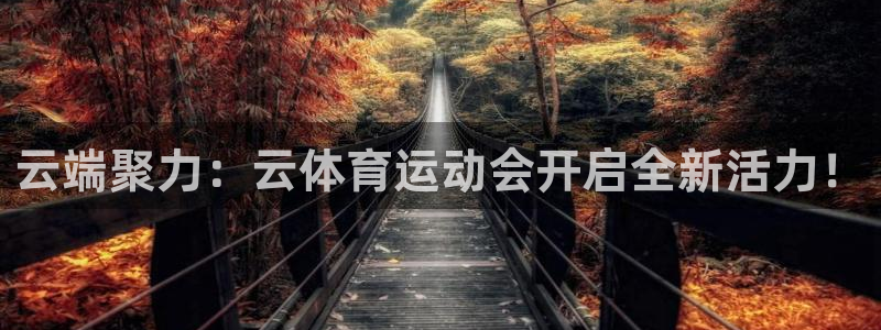 意昂5Kgame体育代理申请流程