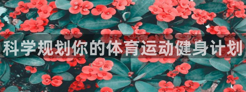 意昂5Kgame体育代理申请流程
