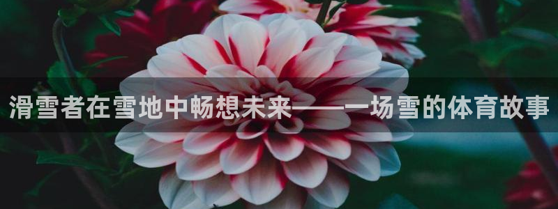 意昂5Kgame体育注册