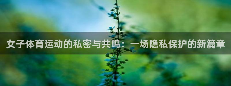 意昂5Kgame体育2官网入口