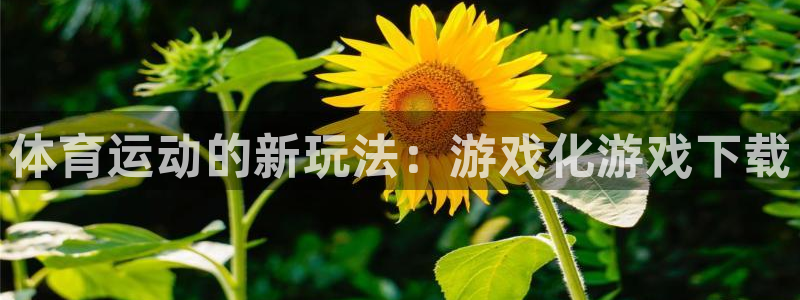 意昂5kgame官网入口