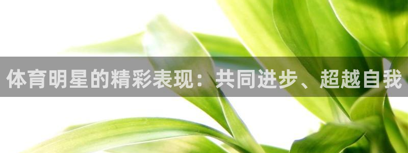 意昂5Kgame体育官网入口登录